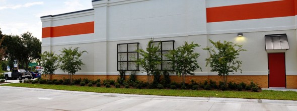 Commercial Landscaping<br>Auto Zone, Naples Florida