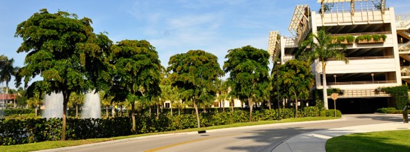 Commercial Landscaping<br>Waterside Shops, Naples Florida